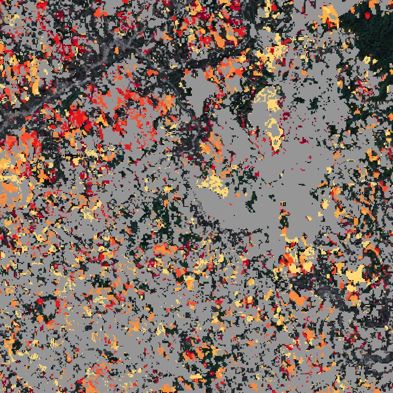 Hansen loss-year map of the demo window